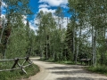 Road1000