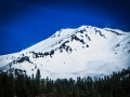 Shasta1000