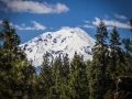 Shasta2_1000